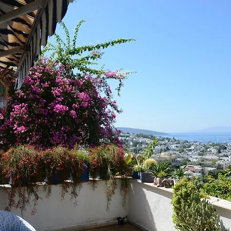 Willa Artsy W/stunning View