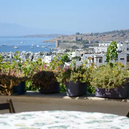Willa Artsy W/stunning View Bodrum